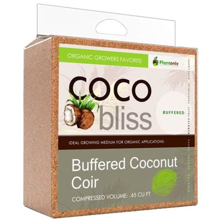 Coco Bliss - BlogInfo