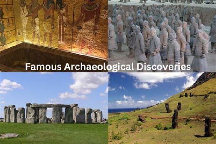 Discoveries And Insights For The Saprol11 Niche